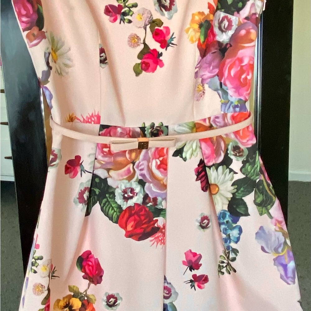 COPY - Gorgeous Ted Baker Fit and Flare dress. Size 2